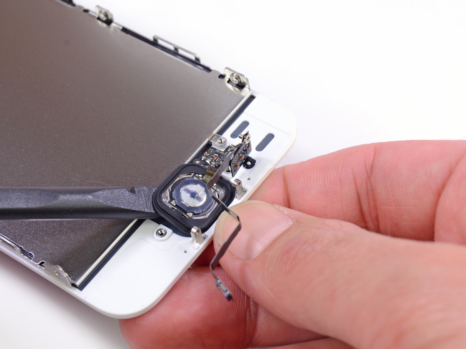 iphone 5s touch id top So How Does The Fingerprint Scanner On The 5S Really Work?