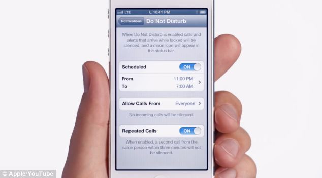 Apple Do Not Distrub Bug