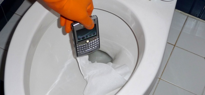Blackberry In The Toilet
